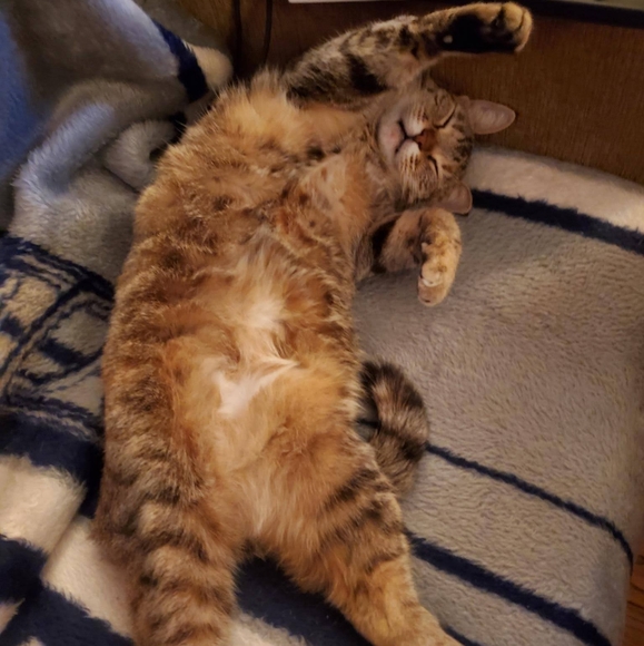 Meet your Posher, Theresia - Picture 3 of 5